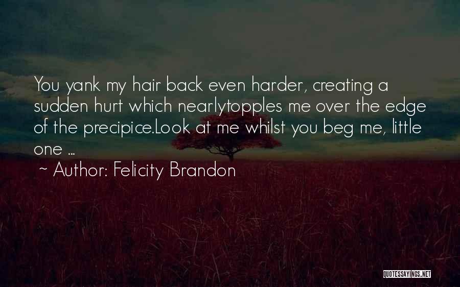 Over The Edge Quotes By Felicity Brandon