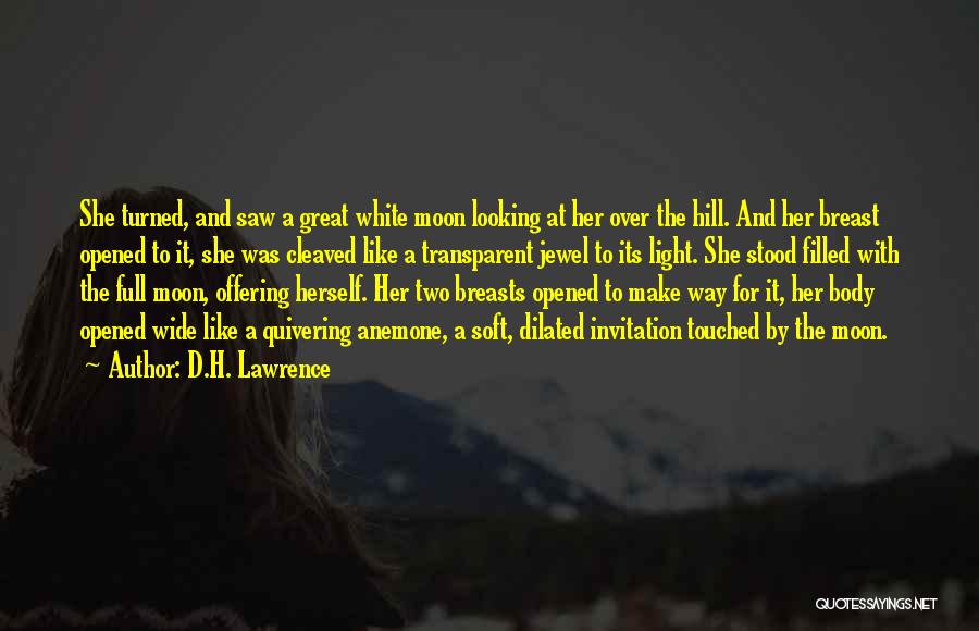 Over The Hill Quotes By D.H. Lawrence