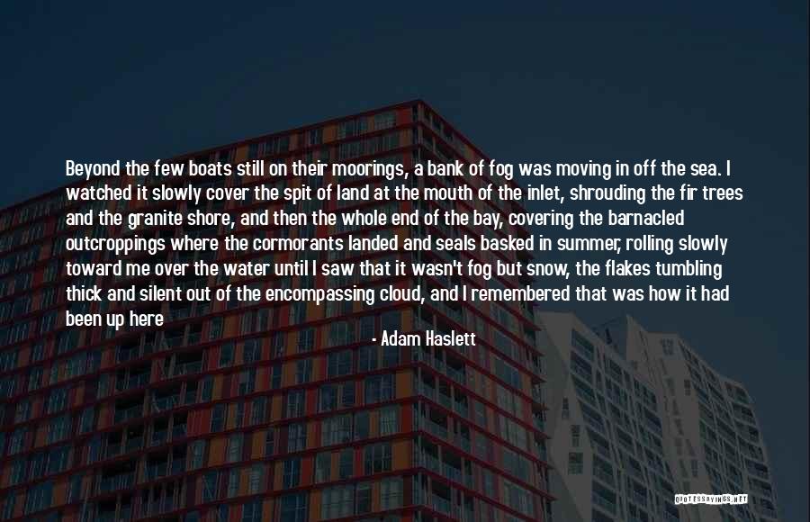 Over The Horizon Quotes By Adam Haslett