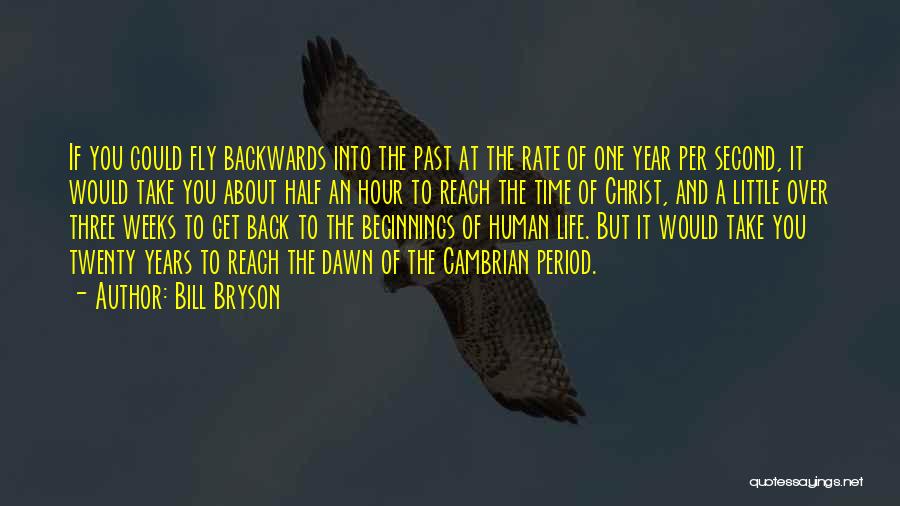Over The Past Quotes By Bill Bryson