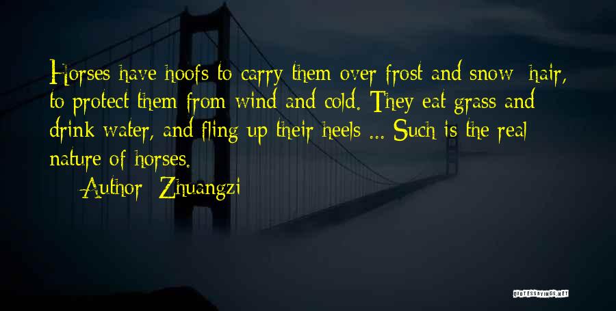 Over The Snow Quotes By Zhuangzi