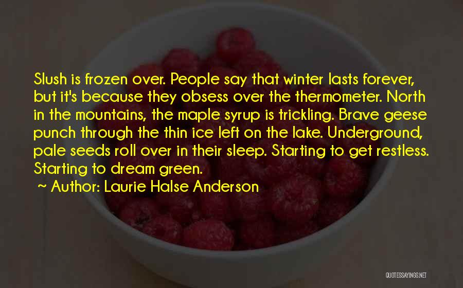 Over Winter Quotes By Laurie Halse Anderson