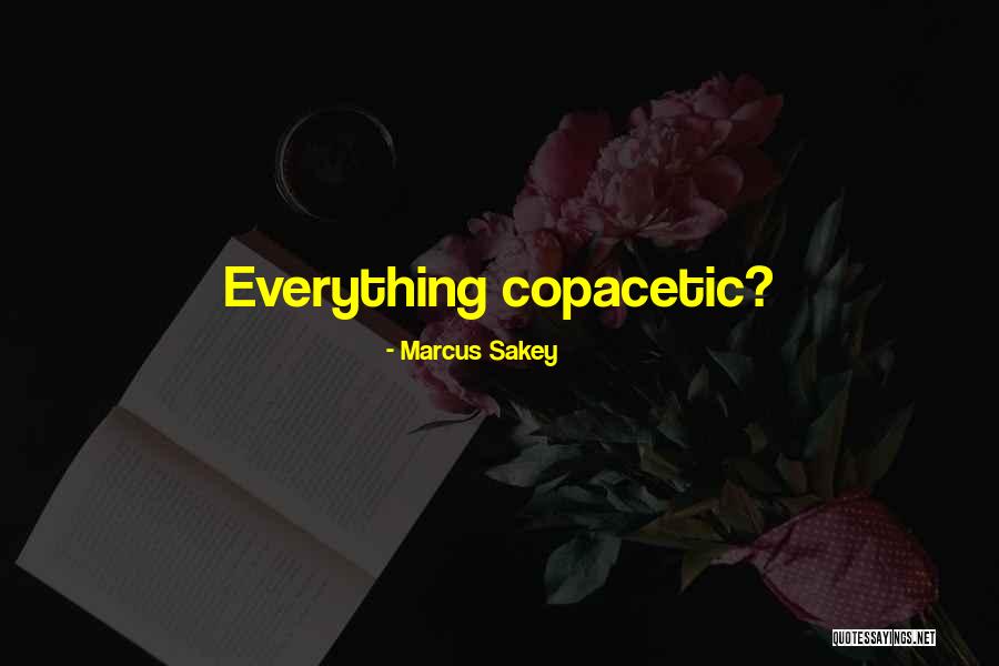 Overambition Quotes By Marcus Sakey