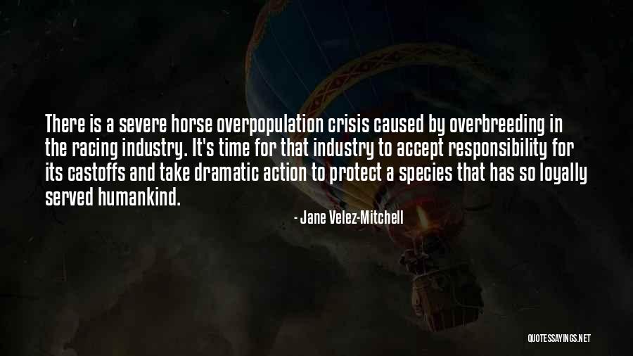 Overbreeding Quotes By Jane Velez-Mitchell Overbreeding Quotes By Jane Velez-Mitchell