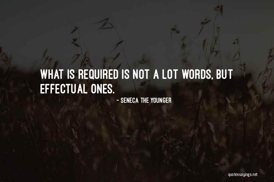 Overbuilding For Area Quotes By Seneca The Younger Overbuilding For Area Quotes By Seneca The Younger