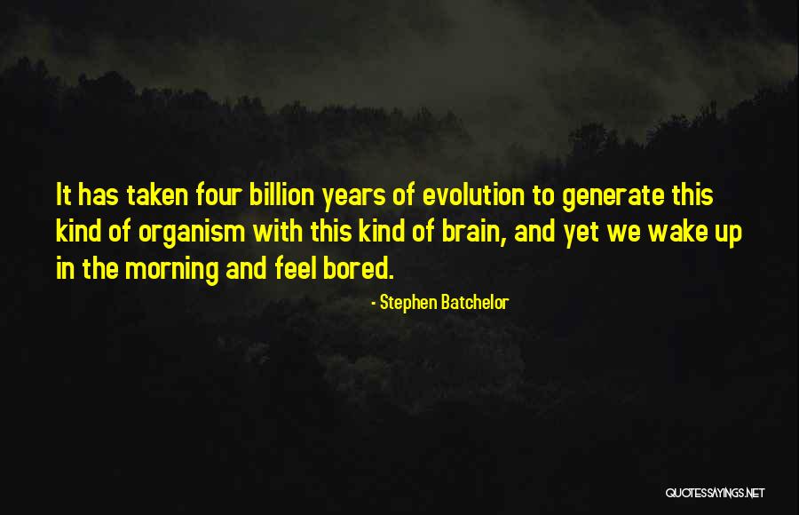 Overbye Transportation Quotes By Stephen Batchelor Overbye Transportation Quotes By Stephen Batchelor