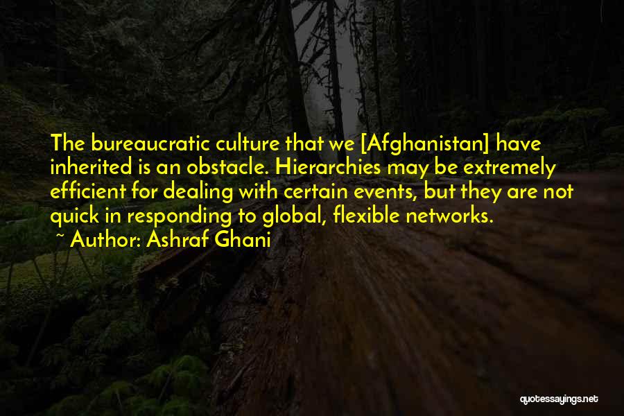 Overclocking Gpu Quotes By Ashraf Ghani