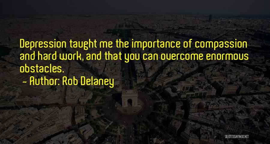 Overcome Depression Quotes By Rob Delaney