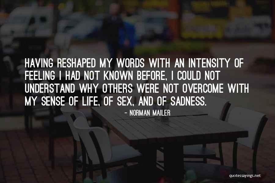 Overcome Sadness Quotes By Norman Mailer