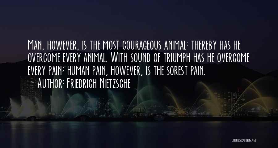 Overcome The Pain Quotes By Friedrich Nietzsche
