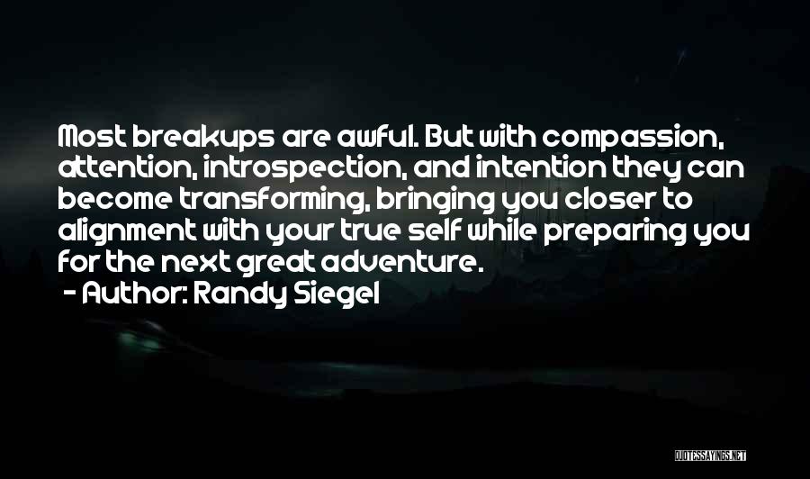 Overcoming A Breakup Quotes By Randy Siegel