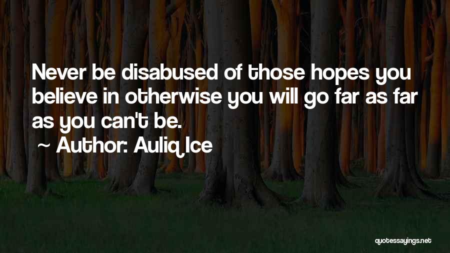 Overcoming Adversity Quotes By Auliq Ice