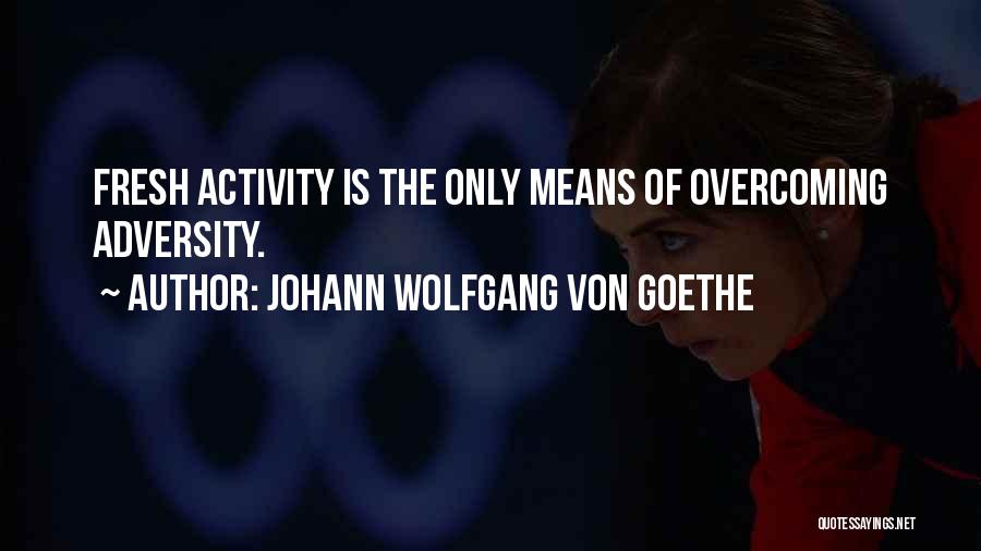 Overcoming Adversity Quotes By Johann Wolfgang Von Goethe