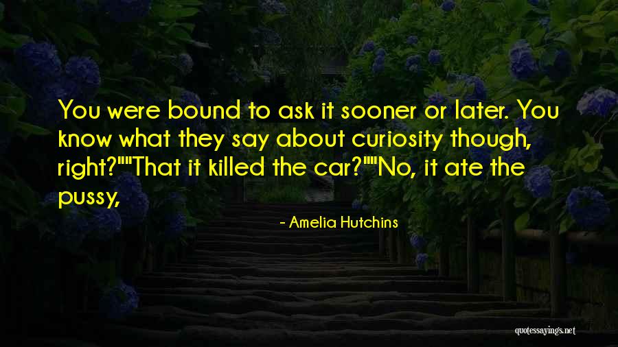 Overcoming Confusion Quotes By Amelia Hutchins Overcoming Confusion Quotes By Amelia Hutchins