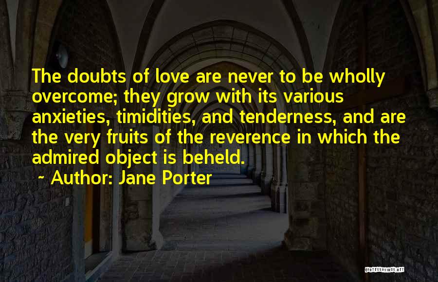Overcoming Doubts Quotes By Jane Porter