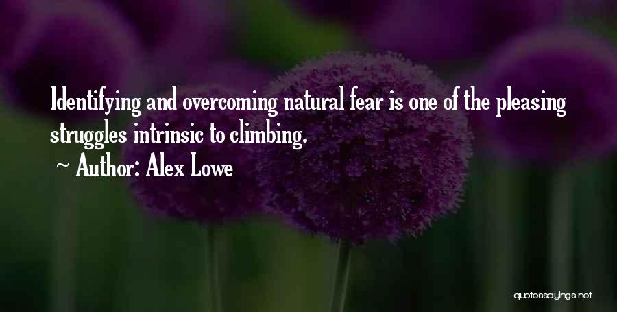 Overcoming Fear Quotes By Alex Lowe