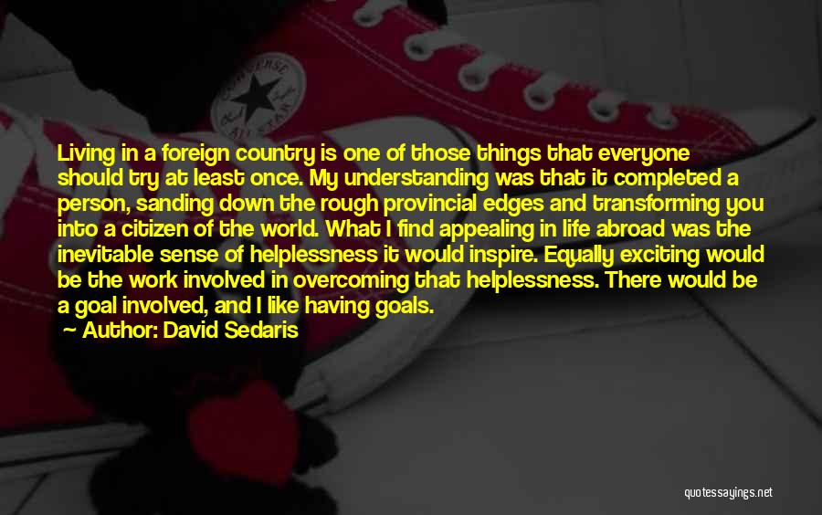 Overcoming Goals Quotes By David Sedaris