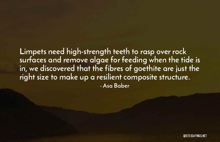 Overcoming Insults Quotes By Asa Baber Overcoming Insults Quotes By Asa Baber