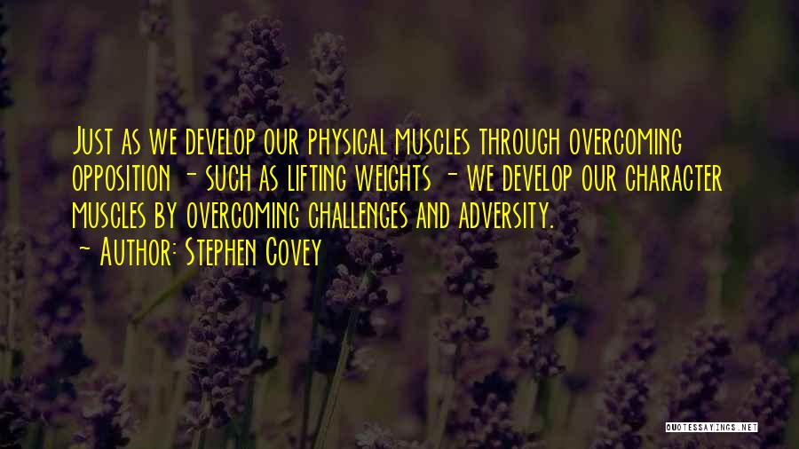 Overcoming Physical Challenges Quotes By Stephen Covey