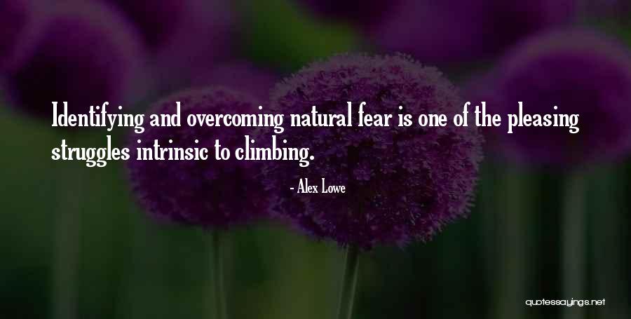 Overcoming Your Struggles Quotes By Alex Lowe Overcoming Your Struggles Quotes By Alex Lowe