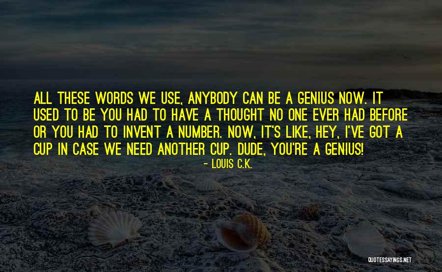 Overcorrecting Quotes By Louis C.K. Overcorrecting Quotes By Louis C.K.