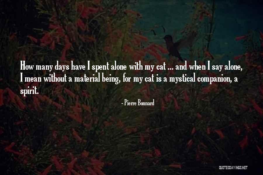 Overdoing It After Hysterectomy Quotes By Pierre Bonnard Overdoing It After Hysterectomy Quotes By Pierre Bonnard