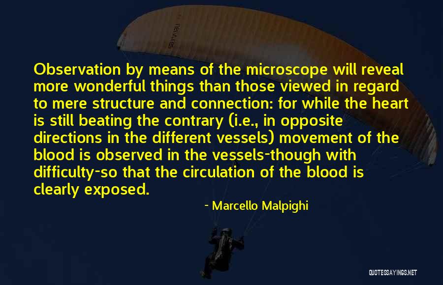 Overdrive Magazine Quotes By Marcello Malpighi Overdrive Magazine Quotes By Marcello Malpighi