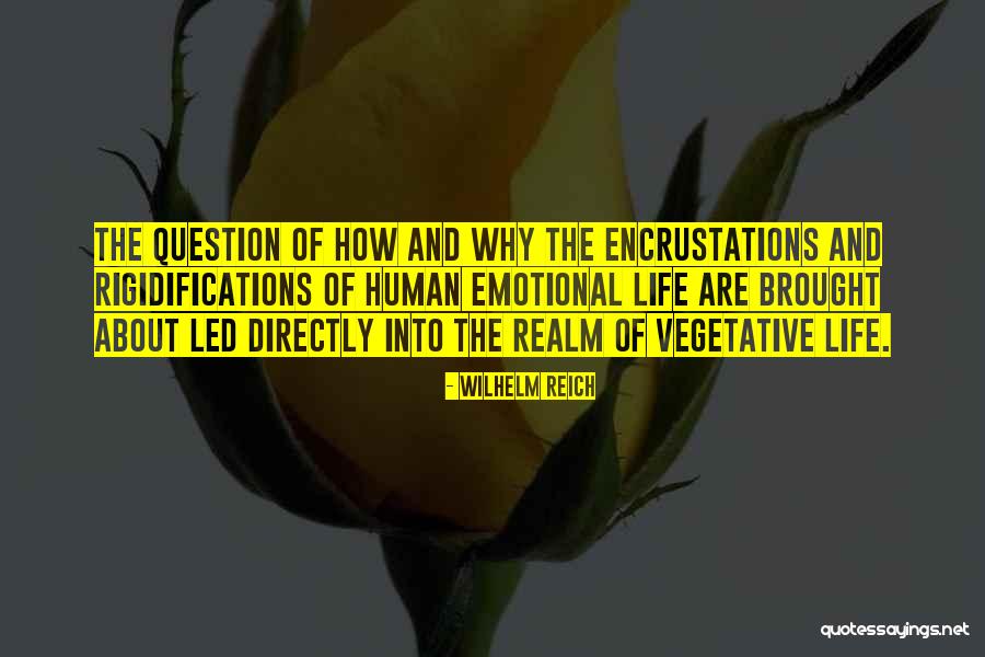 Overfed Baby Quotes By Wilhelm Reich Overfed Baby Quotes By Wilhelm Reich
