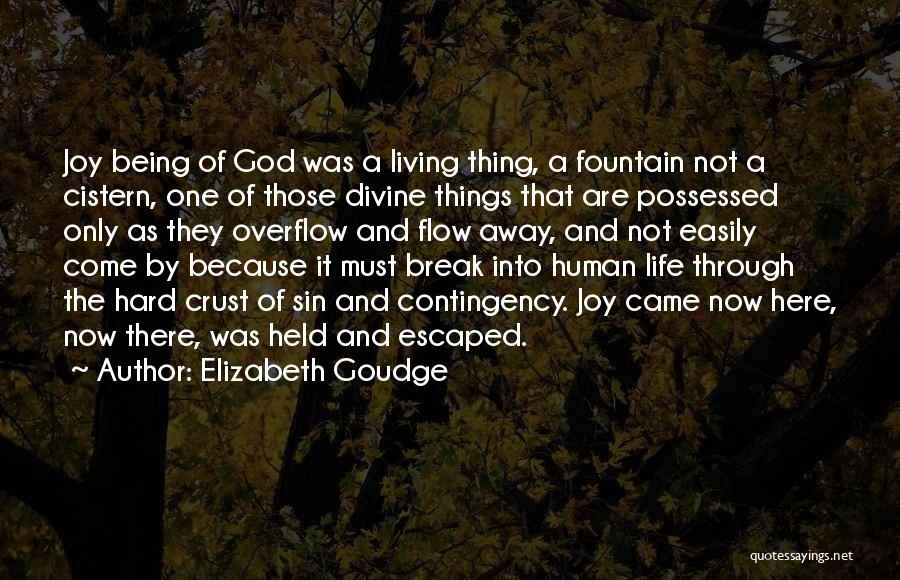 Overflow Quotes By Elizabeth Goudge