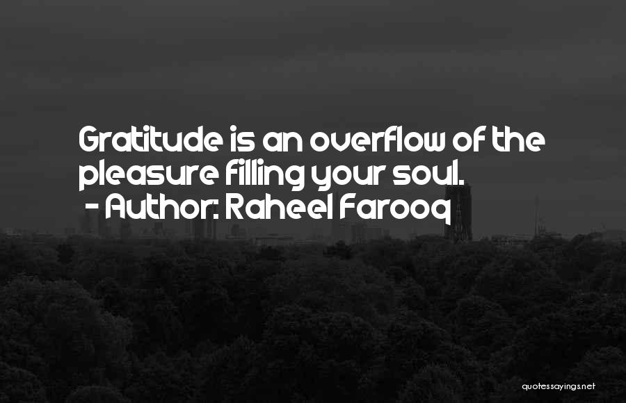 Overflow Quotes By Raheel Farooq