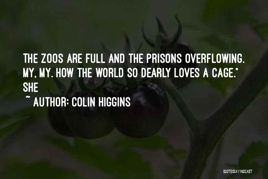 Overflowing Quotes By Colin Higgins