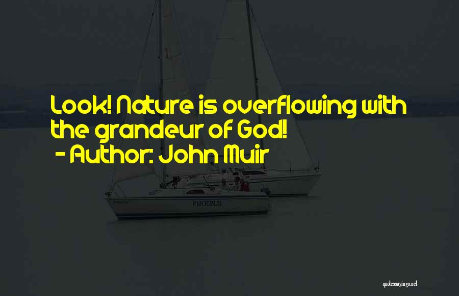 Overflowing Quotes By John Muir