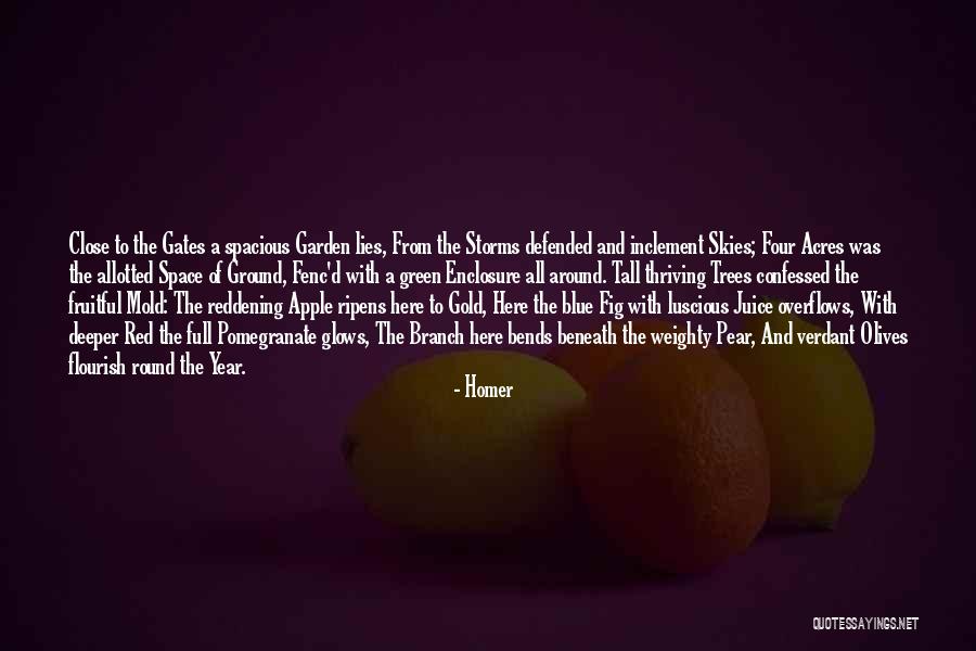 Overflows Quotes By Homer Overflows Quotes By Homer