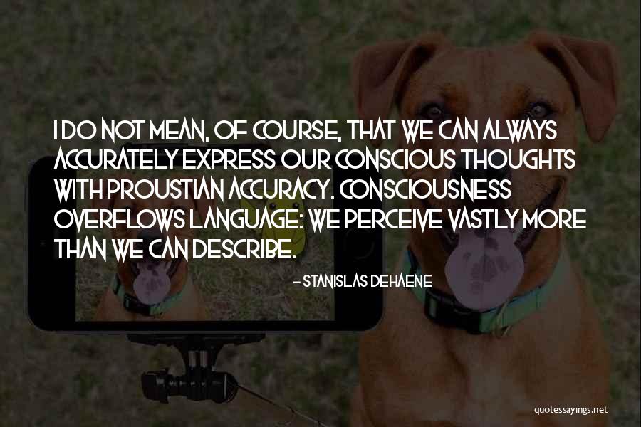 Overflows Quotes By Stanislas Dehaene Overflows Quotes By Stanislas Dehaene