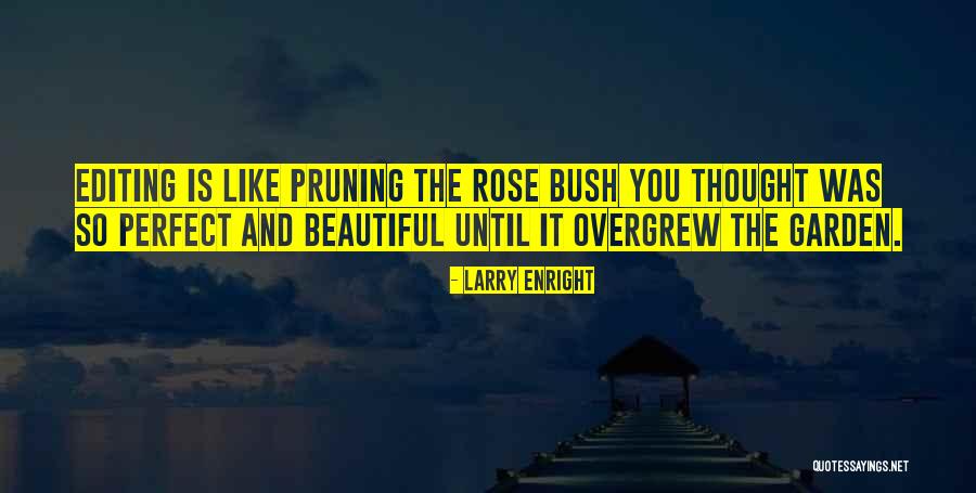 Overgrew Quotes By Larry Enright Overgrew Quotes By Larry Enright