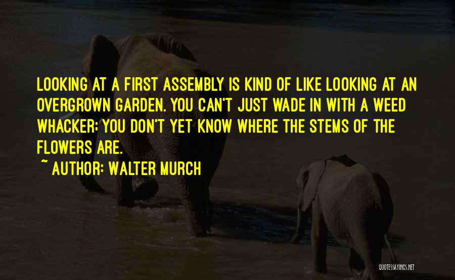 Overgrown Garden Quotes By Walter Murch