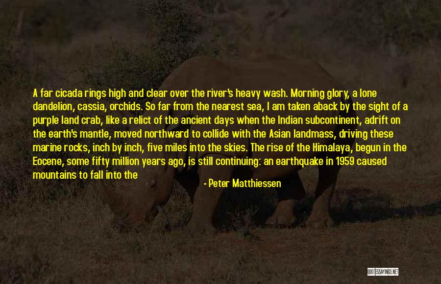 Overhead And Undergoes Quotes By Peter Matthiessen Overhead And Undergoes Quotes By Peter Matthiessen