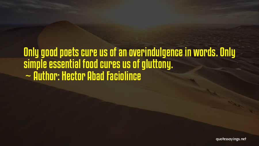 Overindulgence Quotes By Hector Abad Faciolince