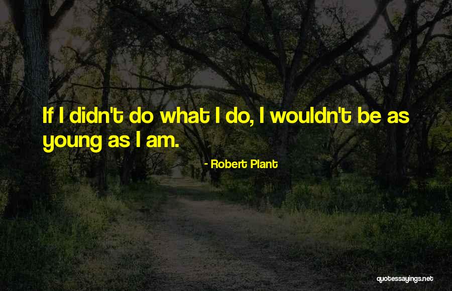 Overit Quotes By Robert Plant