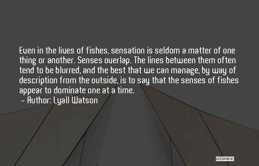 Overlap Quotes By Lyall Watson