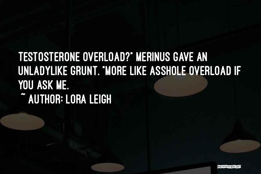 Overload Quotes By Lora Leigh