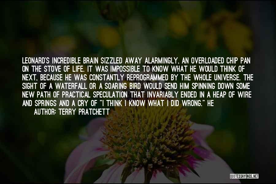 Overloaded Brain Quotes By Terry Pratchett