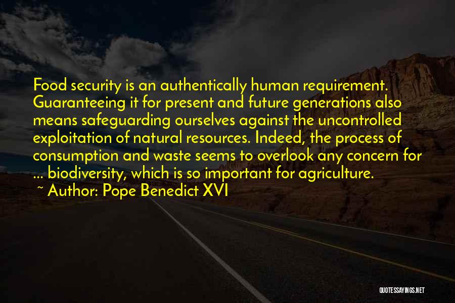 Overlook Quotes By Pope Benedict XVI