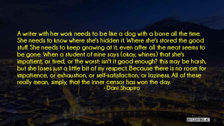 Overlooked Introverts Quotes By Dani Shapiro Overlooked Introverts Quotes By Dani Shapiro