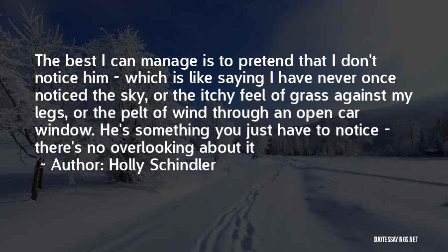 Overlooking Love Quotes By Holly Schindler