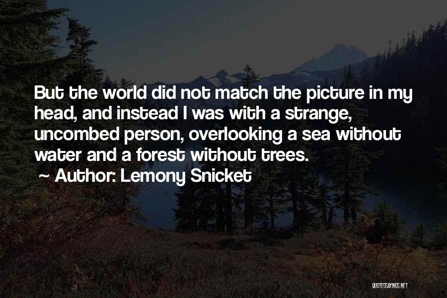 Overlooking Quotes By Lemony Snicket