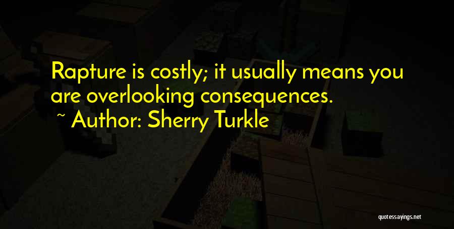 Overlooking Quotes By Sherry Turkle