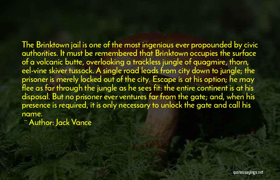 Overlooking The City Quotes By Jack Vance