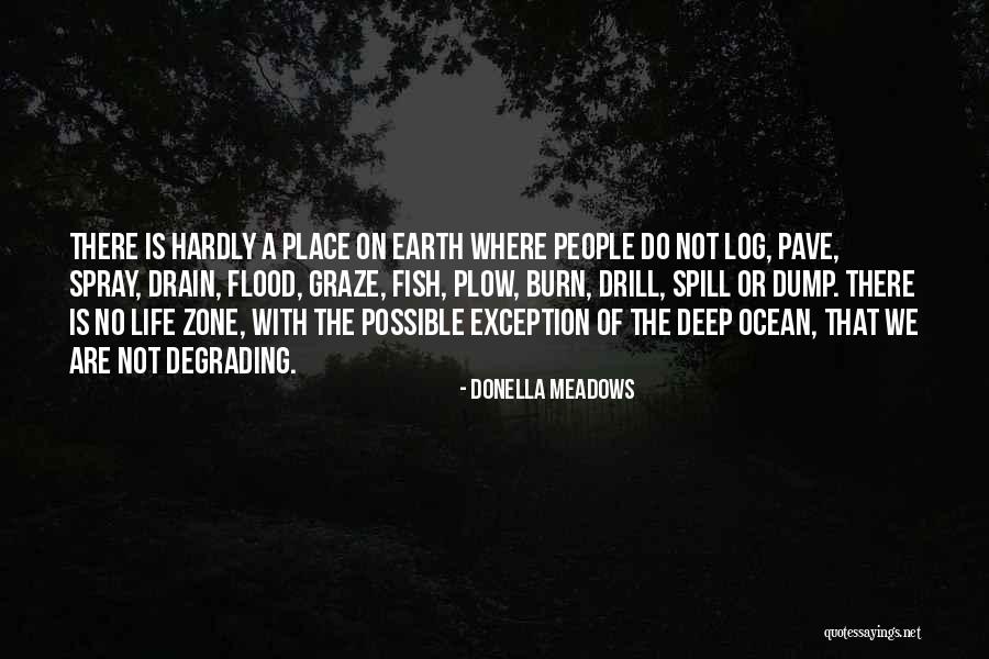 Overmire Genealogy Quotes By Donella Meadows Overmire Genealogy Quotes By Donella Meadows