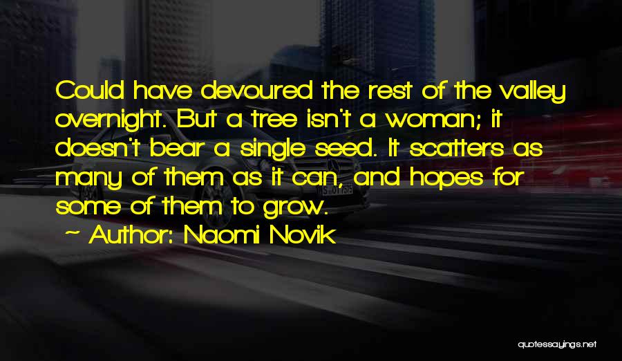 Overnight Quotes By Naomi Novik